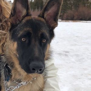 Meet your Posher, Julia